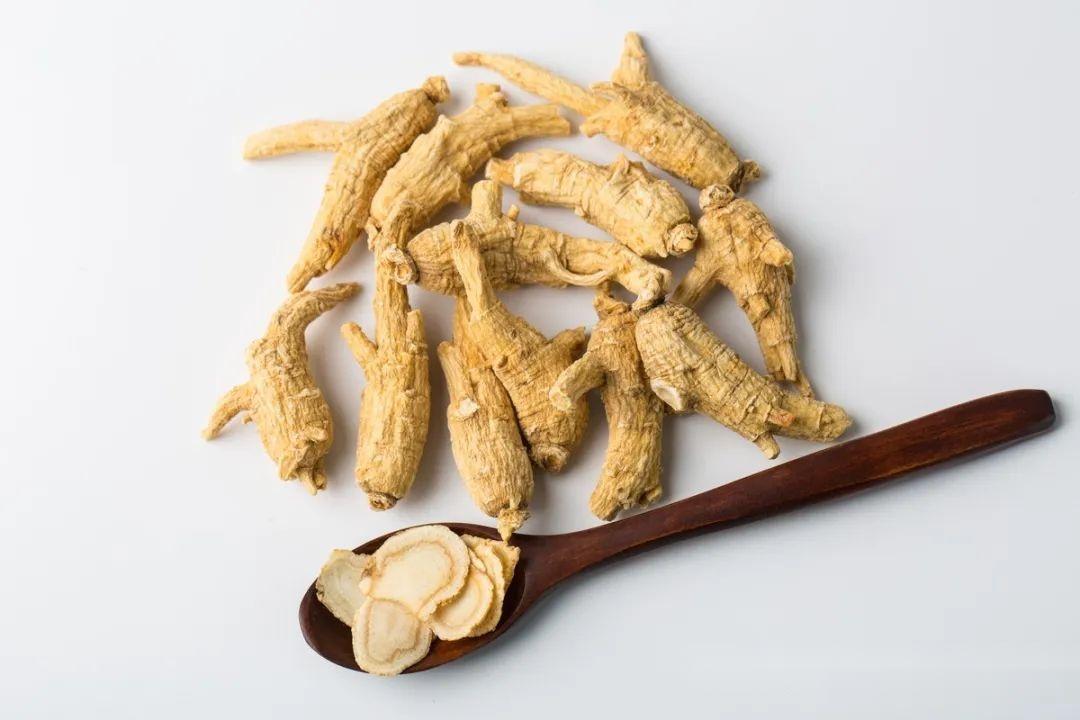 植物界全系列伞形目五加科五花旗参