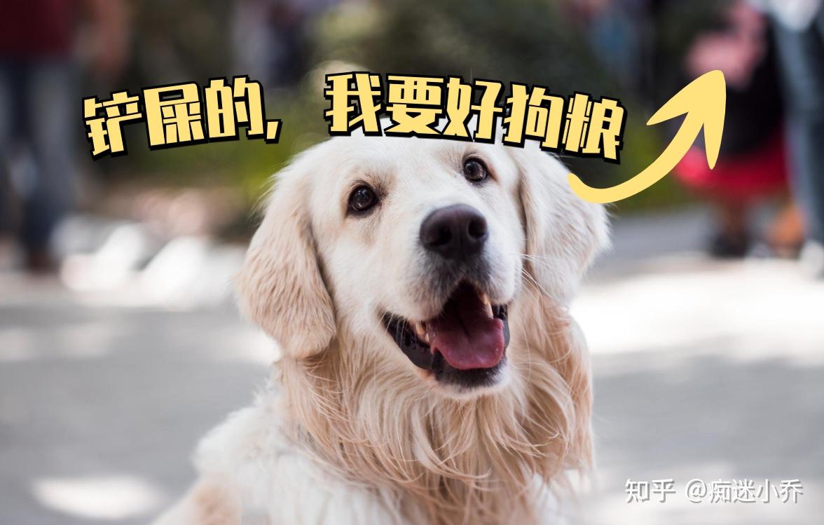 v2-861c78c5f8c76aa5f5e2d8db93c85f46_r.jpg