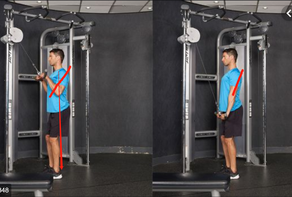 直杆软绳臂屈伸