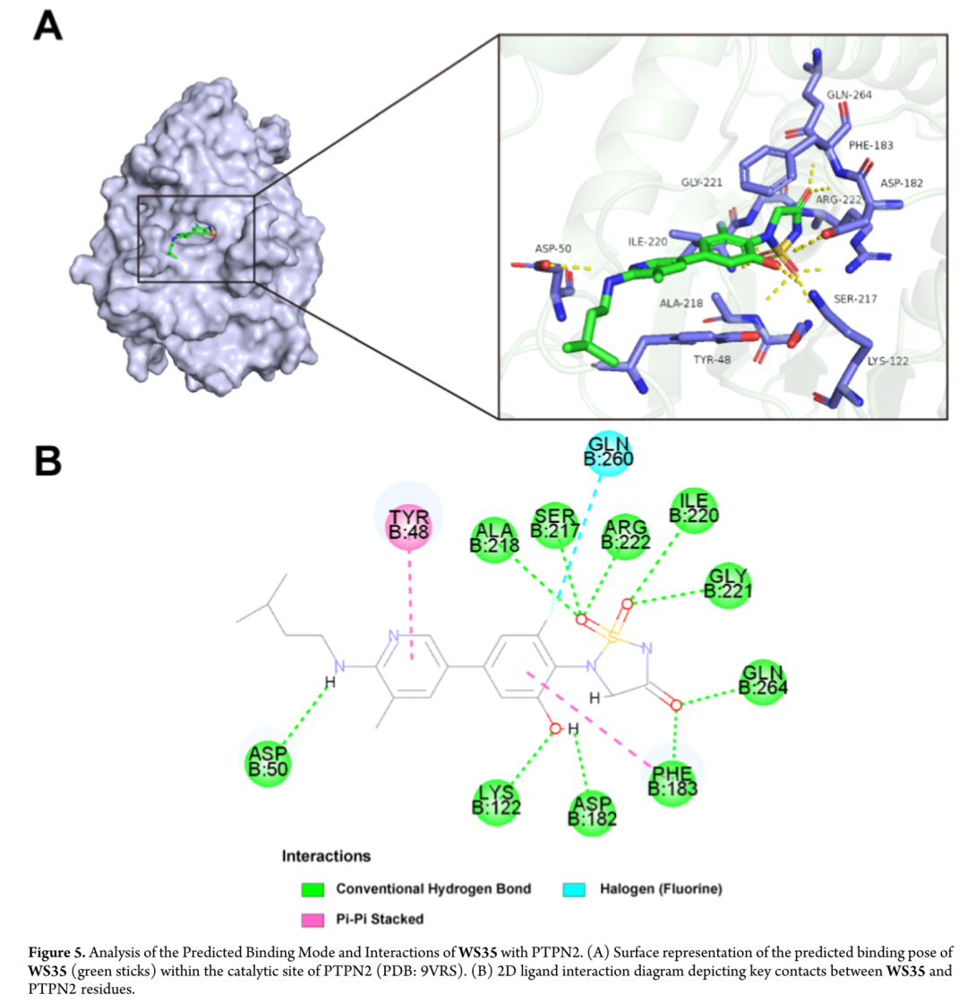 Ptpn2 Structure 【JMC】中国药科大学杨鹏/邝文彬/肖易倍团队:新型PTPN2/1抑制剂的开发及黑色素瘤治疗 - 知乎