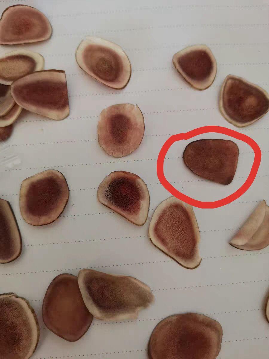 这个鹿茸品质如何?懂的大神看一下?