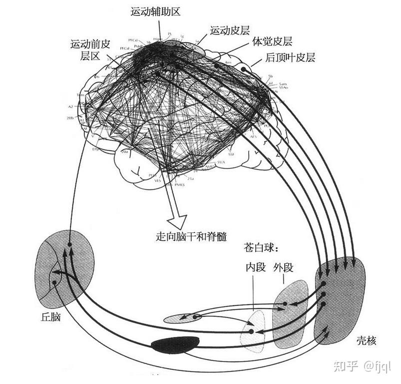 《意识的宇宙》 - 知乎