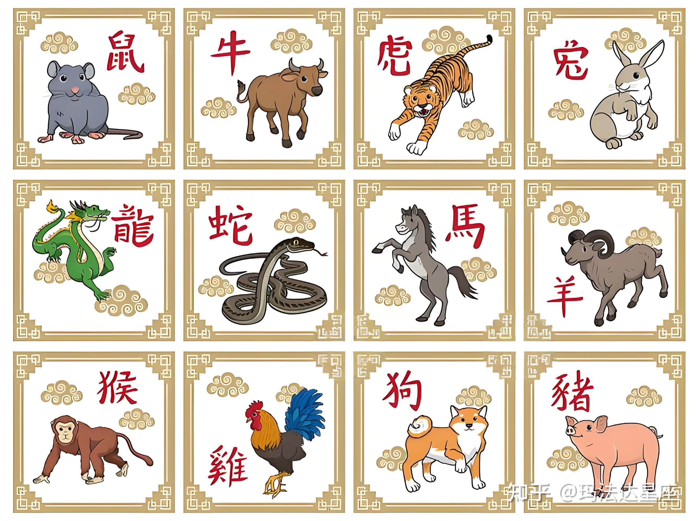 狗的生肖运势12月13日(2020年12月13日属狗运势)