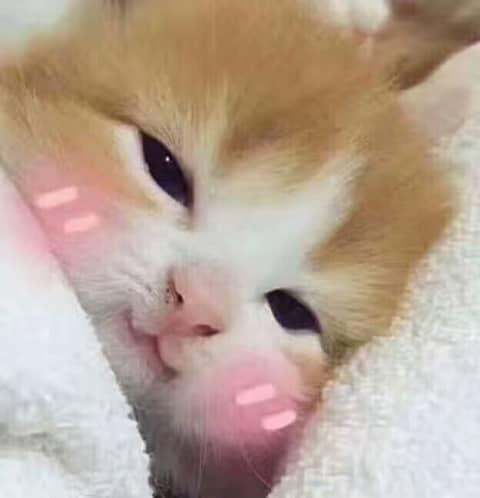 跟男神聊天他好冷淡,感觉没什么话题可以聊了