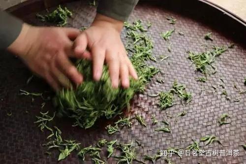 【茶工艺】普洱茶的好滋味都是“揉捻”出来的！ - 知乎
