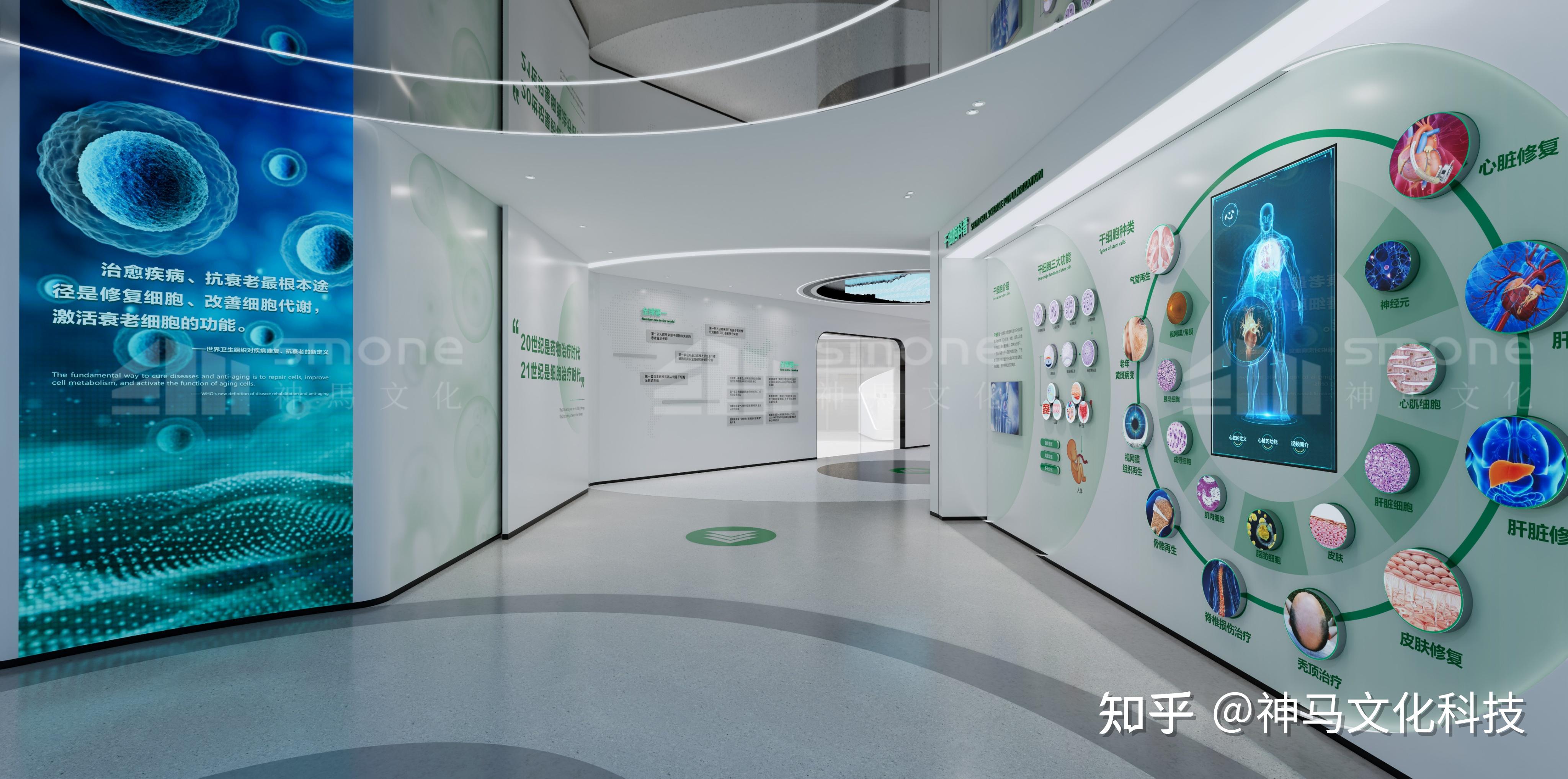 深耕行业12载！全新生物医疗医药展厅设计，获客秘诀竟藏于此！|神马文化干细胞展厅设计 - 知乎