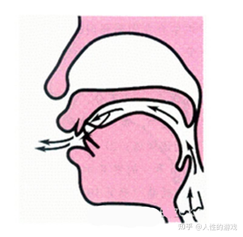 88》……基,础,基础:见《欧几里得37》…敏捷是为了使咬字准确清晰
