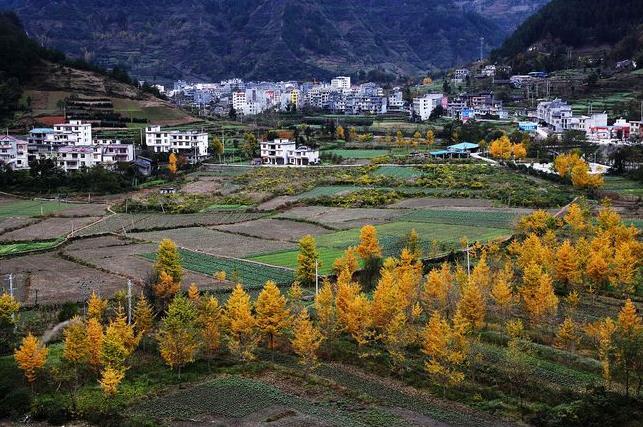 自然资源部解答:一户多宅、超面积、非集体成员取得宅基地等确权问题 - 知乎