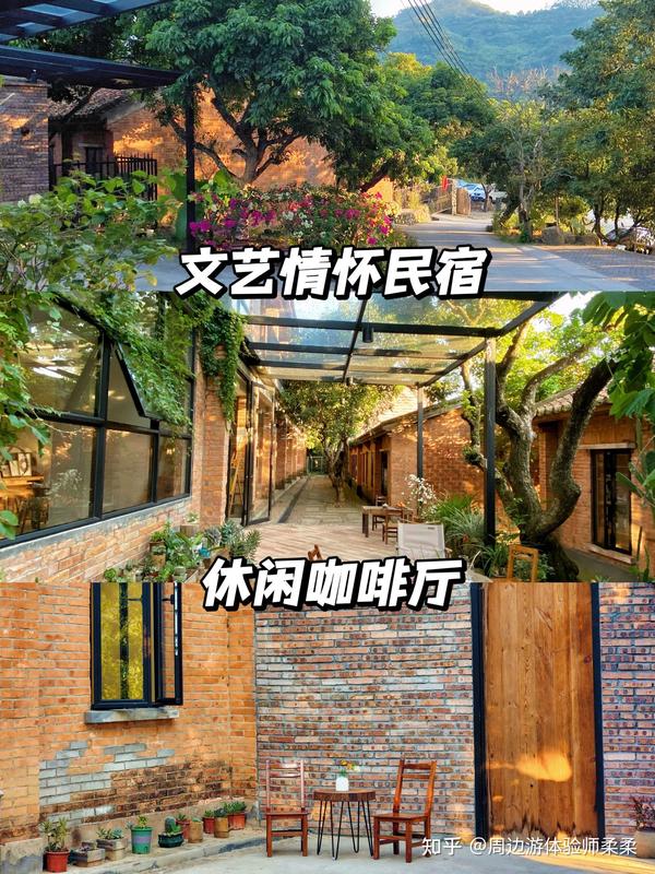 广州民宿|从化南平小镇秋天旅行体验摘柿子村🌾看金灿灿稻田 - 知乎