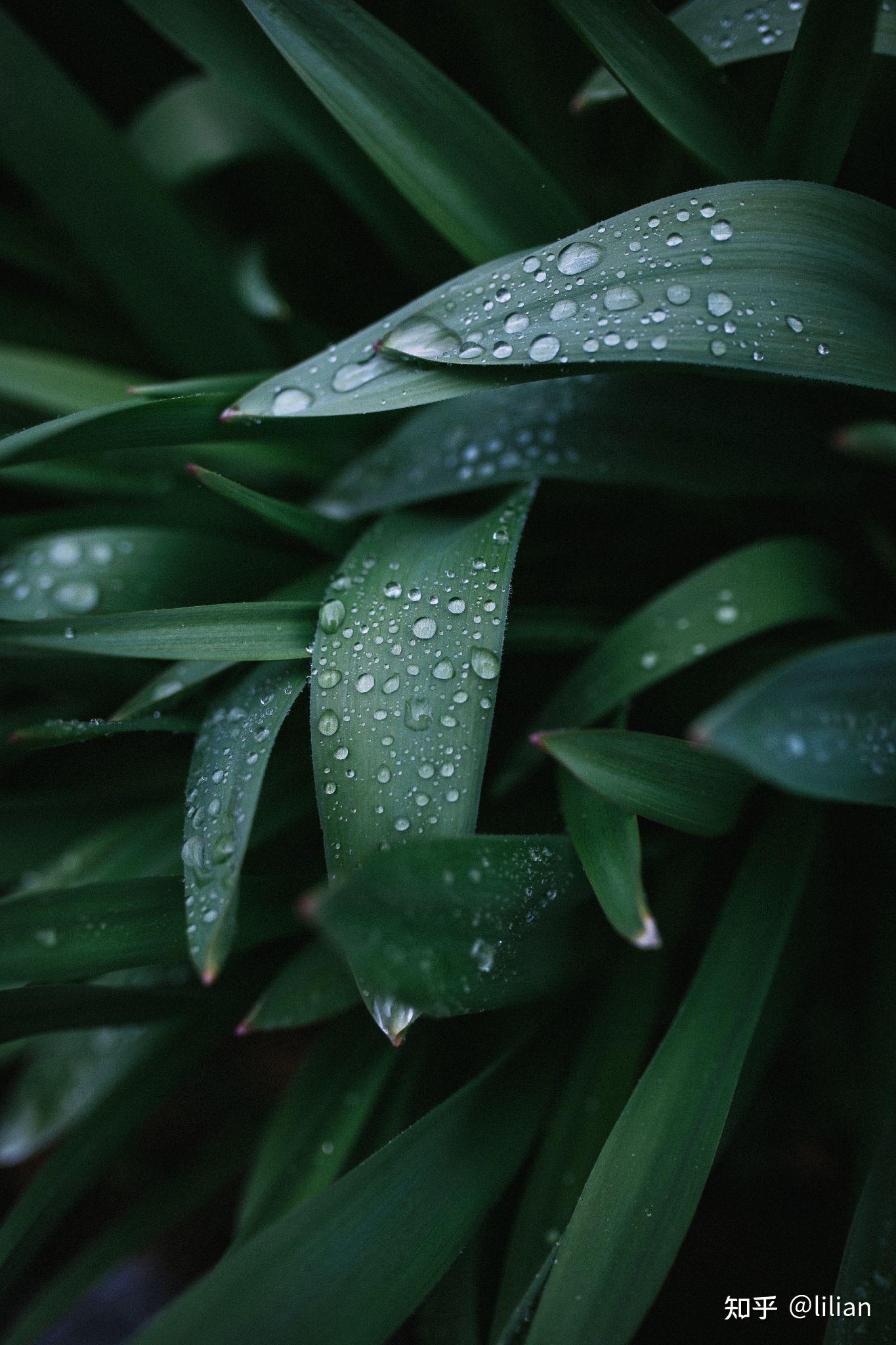 高清壁纸合集74雨持续更新中