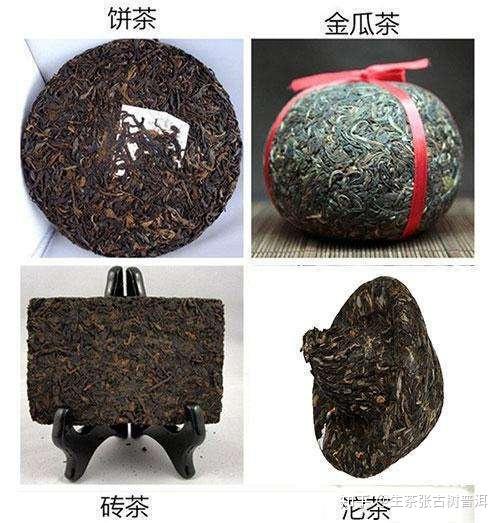 普洱茶的几大形态中砖沱饼散沱茶畅销海外市场原因有哪些