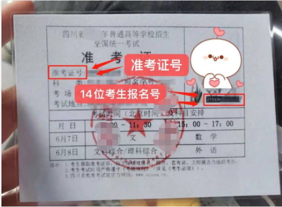 老师,考生号在哪里呢?