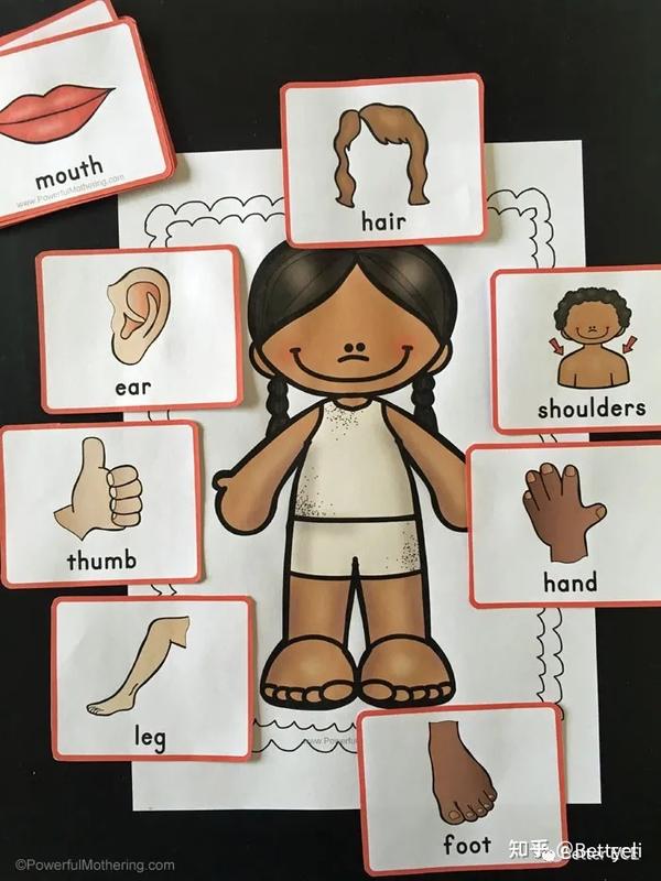 幼儿英语启蒙资源免费领 身体部位英文儿歌 游戏练习 知乎