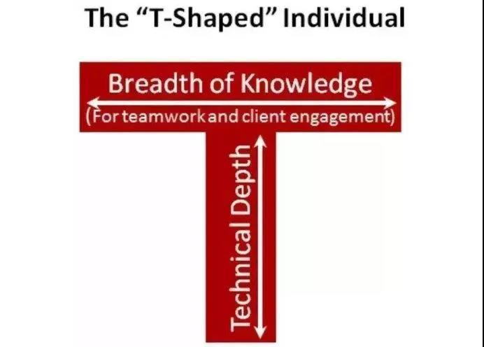 基石之t型人才
