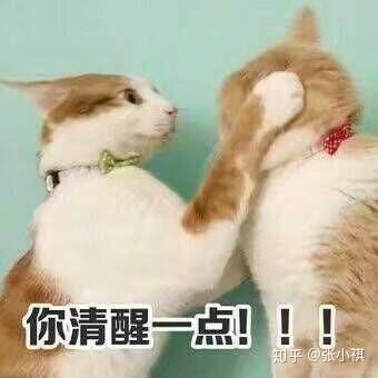 牙齿小白点 v2-86a4b9d9a3f1ea8ddaa30fe35d8c60fa_b.jpg