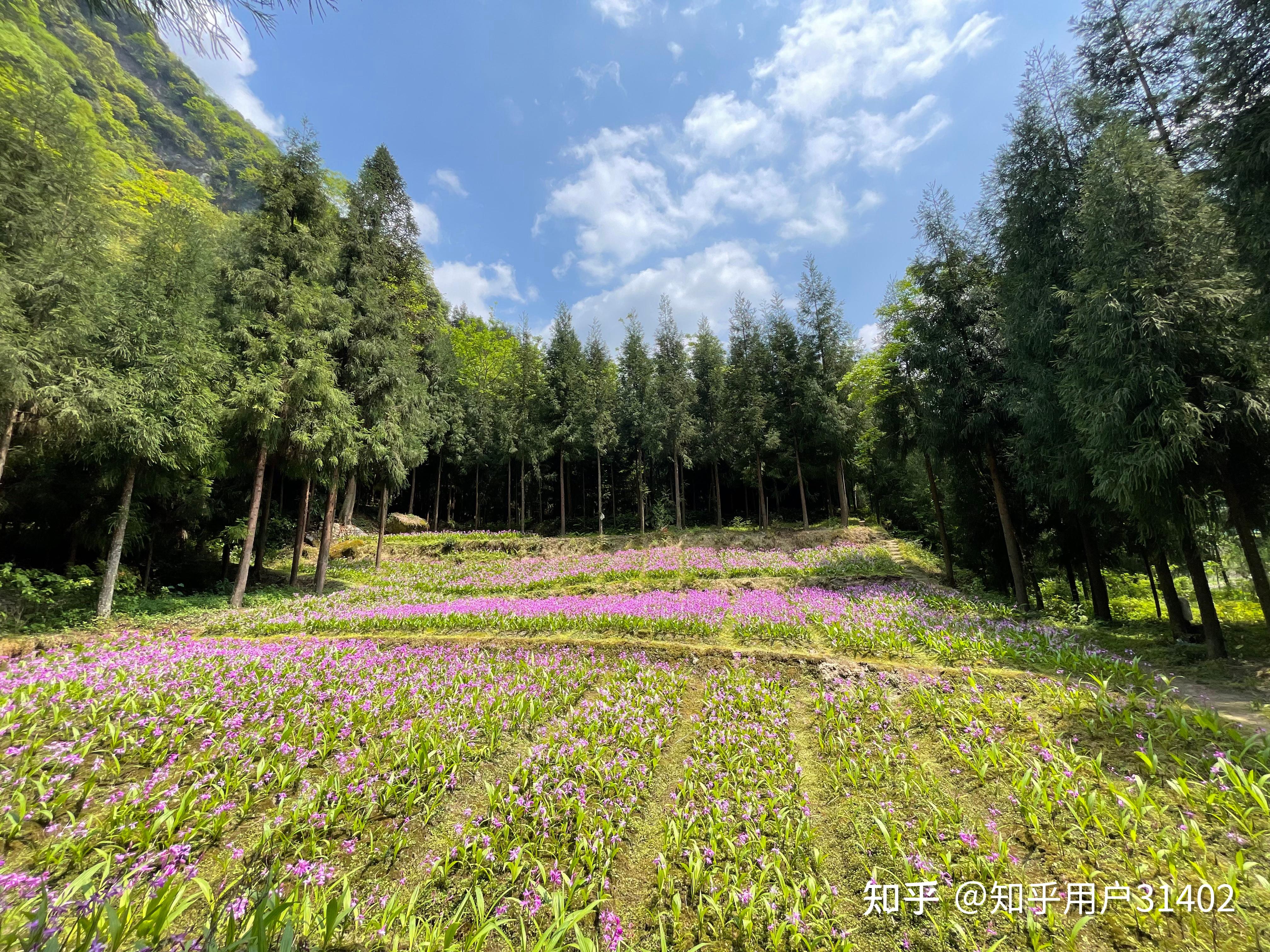 邛崃宝珠山大峡谷一线天