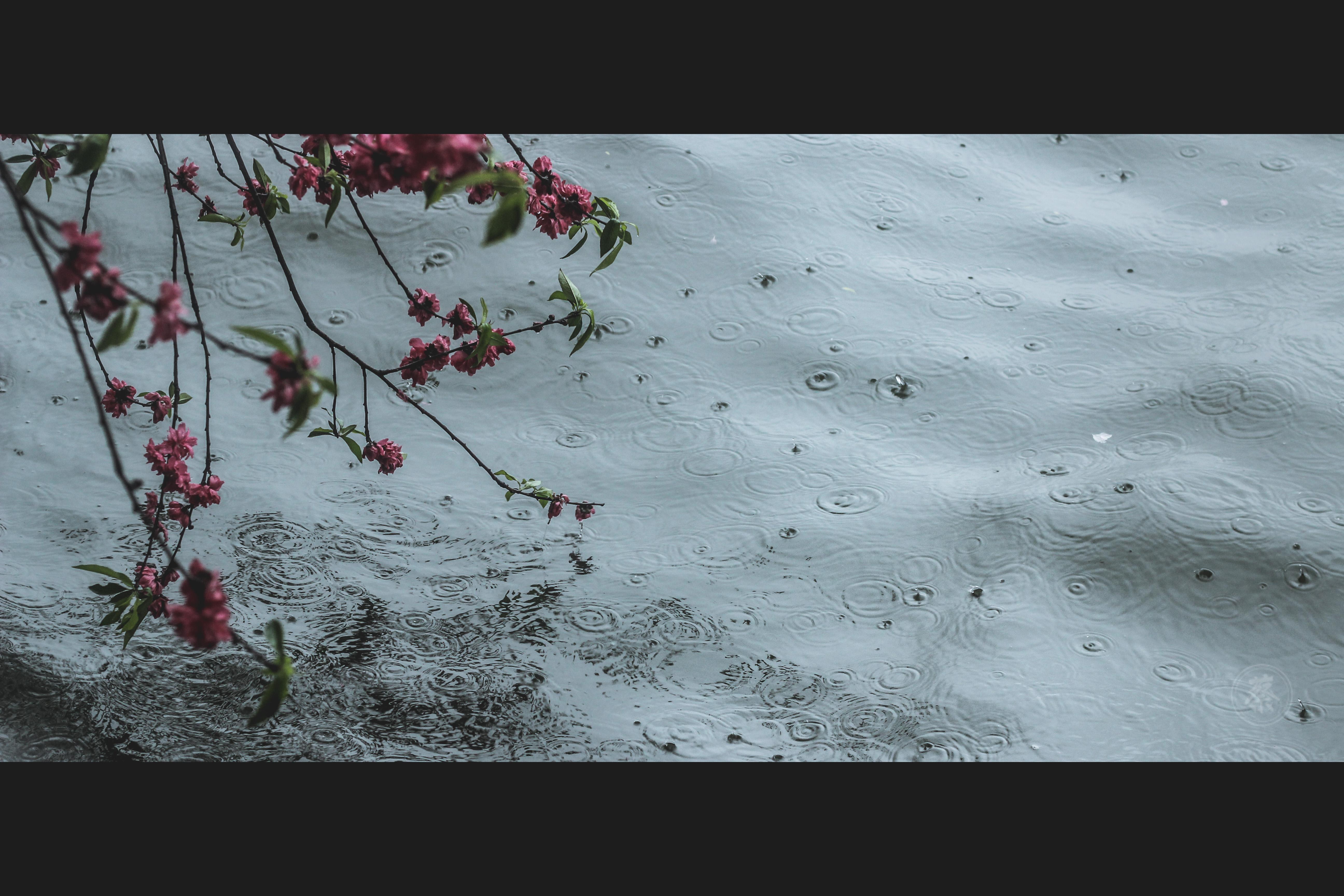 每当下雨天就烦躁阴沉沉的天气让人压抑你会下雨天心情不好吗