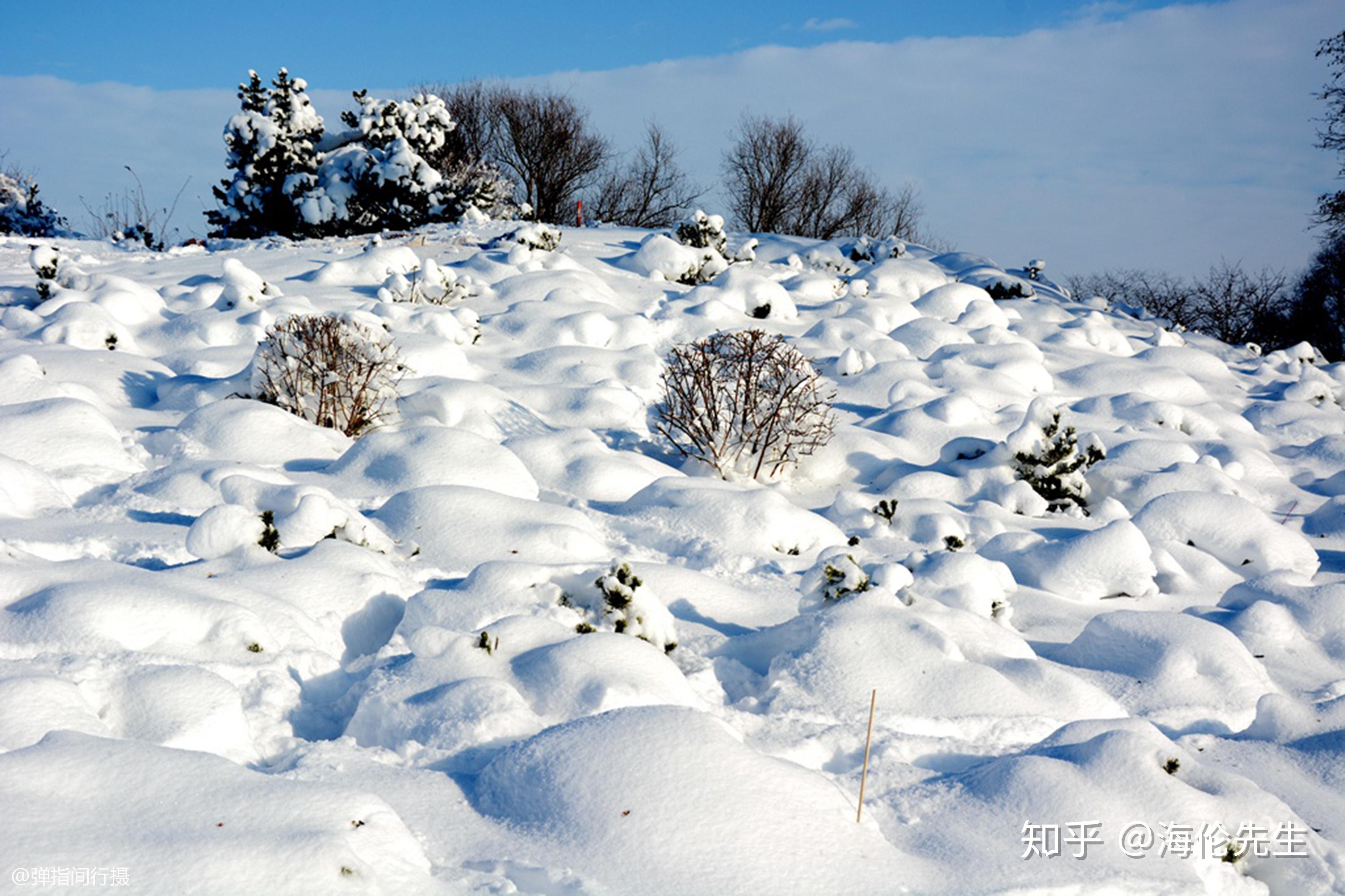 德國最富裕的城市建在森林之中冬天雪景美成童話世界