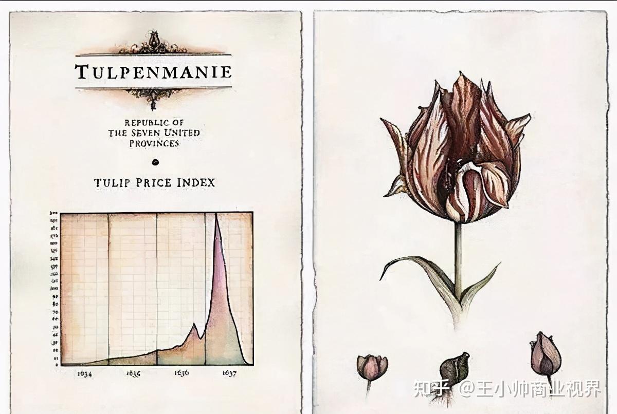 美国的金融泡沫破裂之后会发生什么？荷兰郁金香引发的金融风暴摧毁了一个全球帝国- 知乎