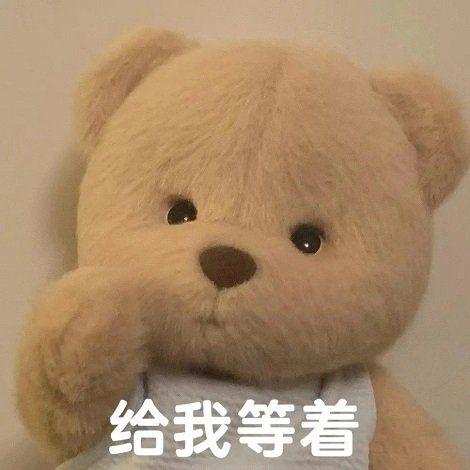 超级无敌软萌可爱的小熊表情包