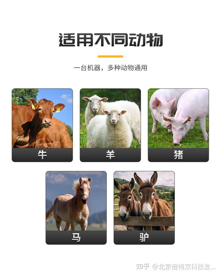 动物繁殖技术就找北京倍特双! - 知乎