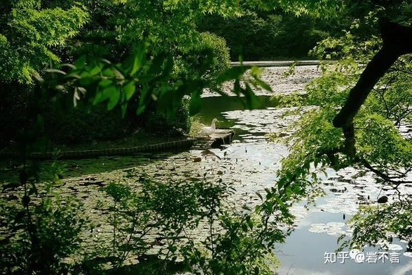 旅行岩 京都园林收藏 知乎
