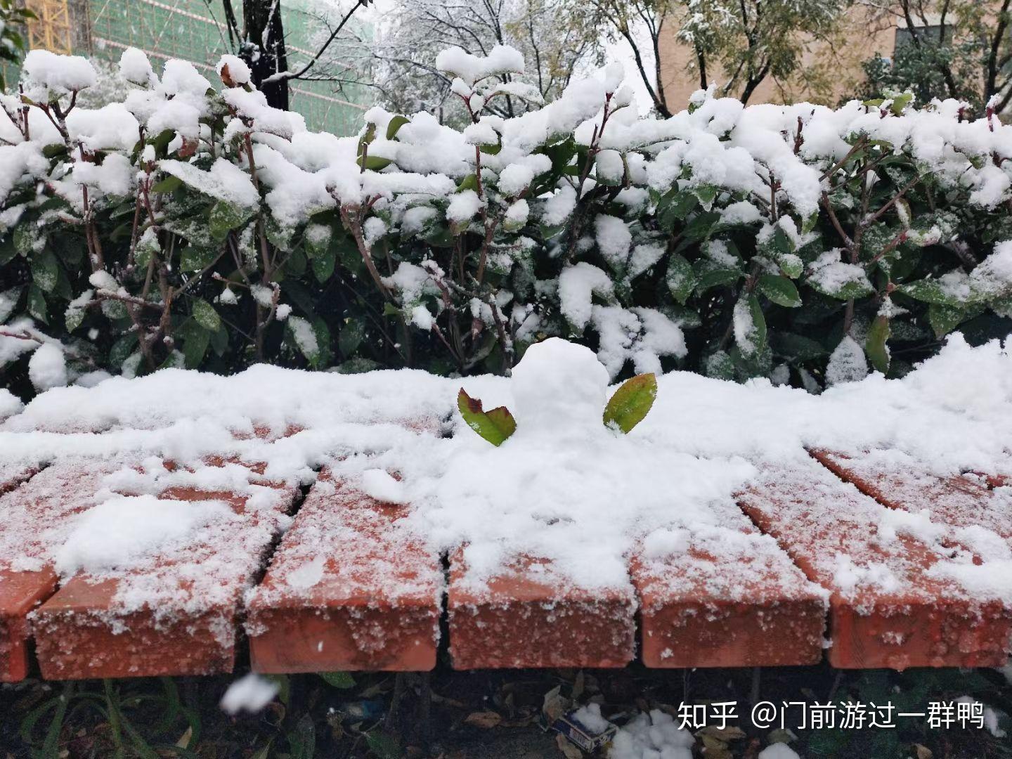 盆什么不成语_成语故事图片(2)