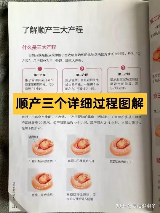 孕期科普:顺产全过程 - 知乎