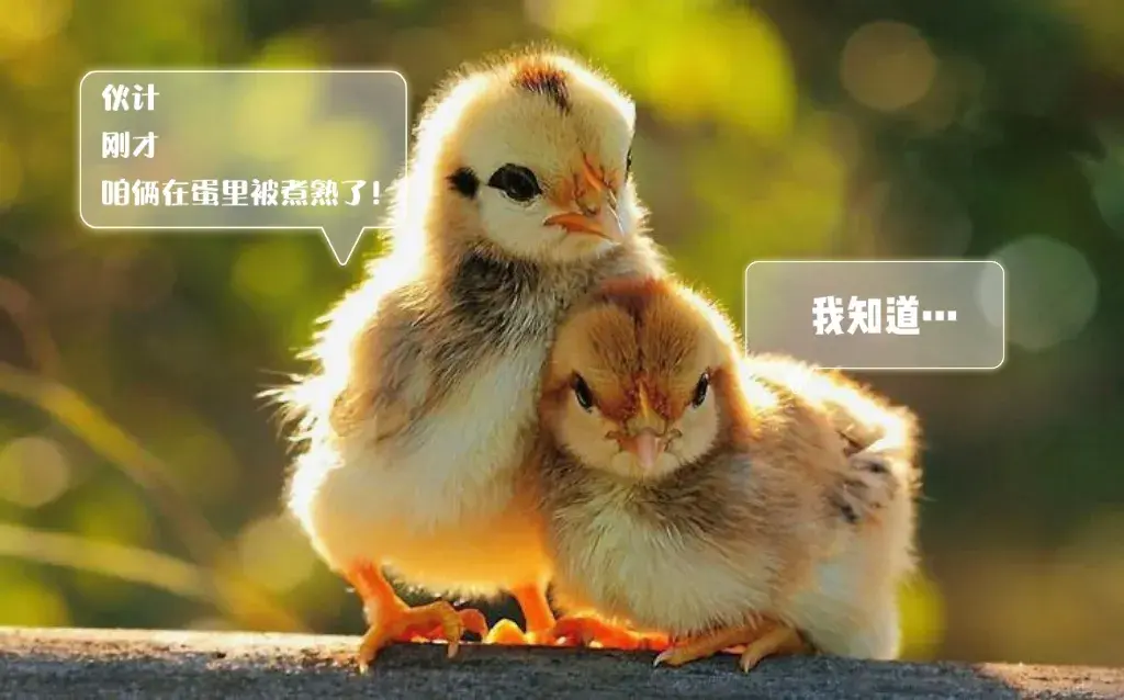 鸡蛋能返生?还能孵小鸡?