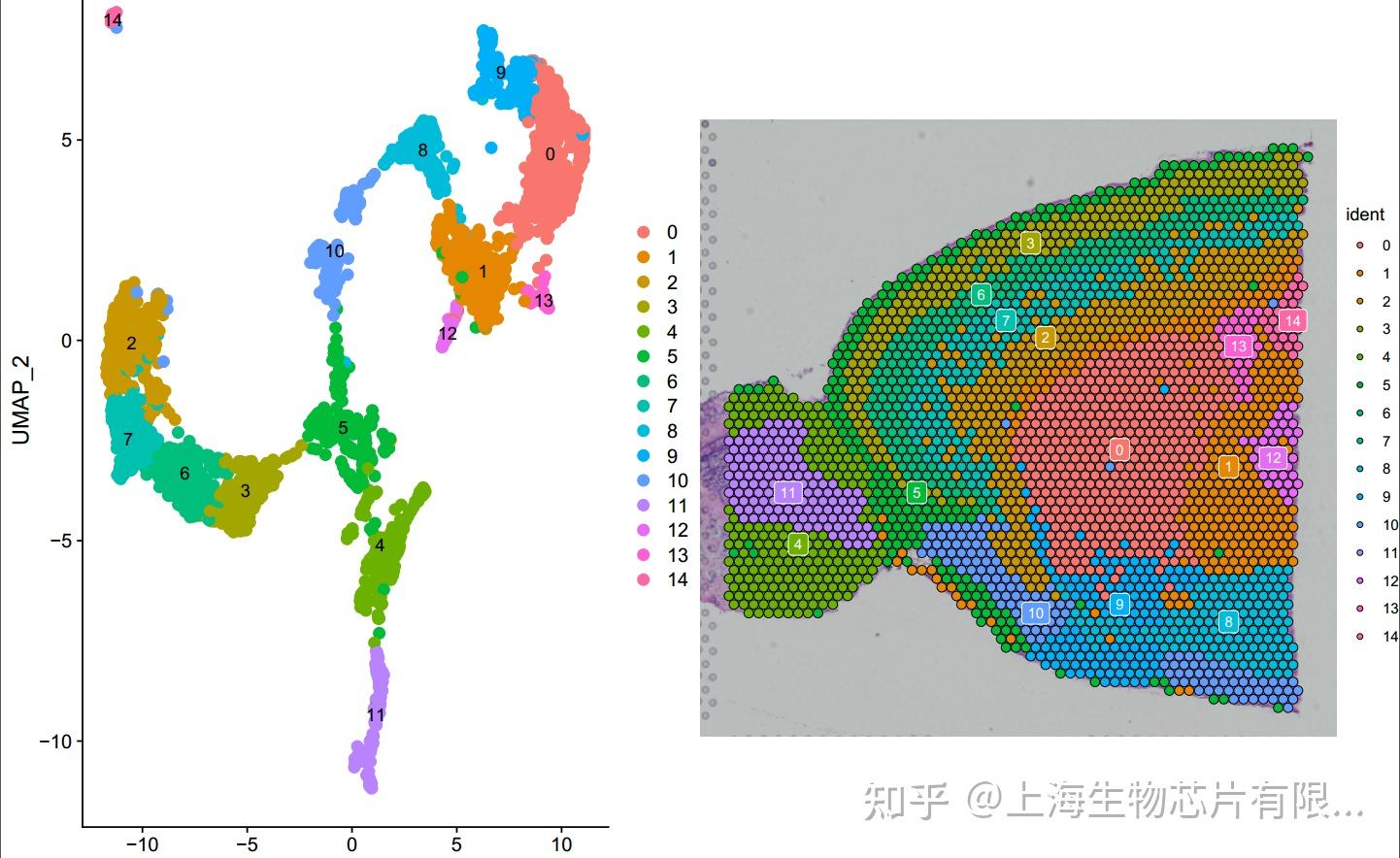是趋势也是必然空间转录组和单细胞转录组测序联合应用的典型案例