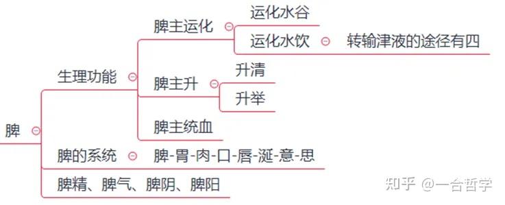 中医学基础-五脏-脾 - 知乎