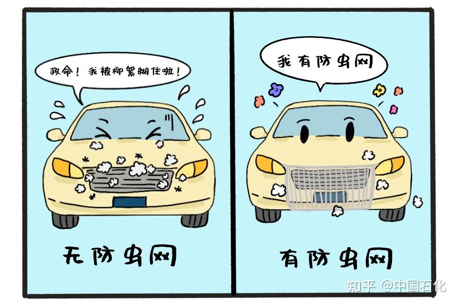 汽车防虫网,利弊如何早知道!