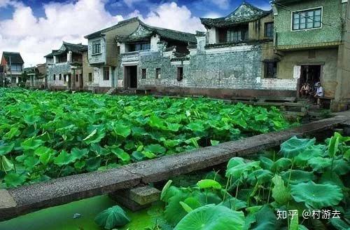 上榜宁波十大最美古村曾有藏书最富的荣耀这个渡口小村不简单