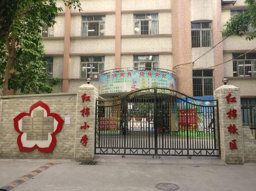 广州红棉小学图片