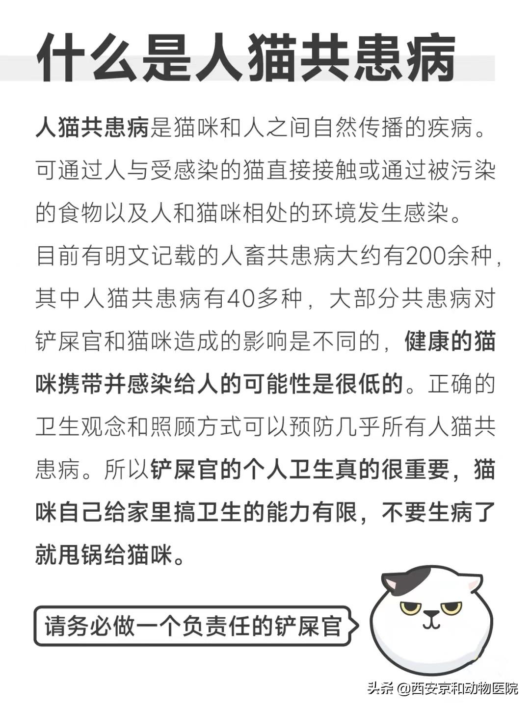 人猫共患病有哪些? - 知乎