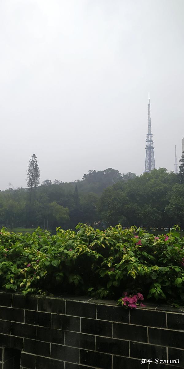 6月23诞生花 诞生花查询365日 怎样知道自己的诞生花