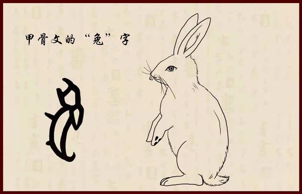 兔子原来有这么别称和典故!你知道几个? - 知乎