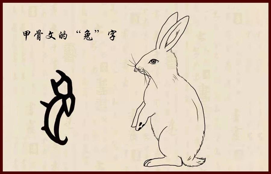 兔子原来有这么别称和典故!你知道几个? - 知乎