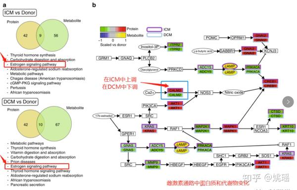 如何将蛋白质组学和代谢组学进行关联分析？ - 知乎