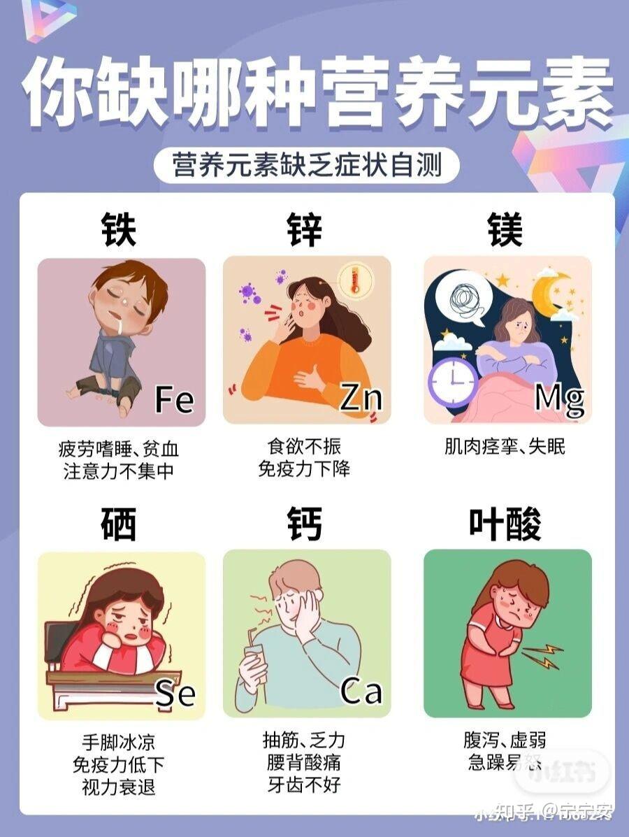 营养素缺乏补充