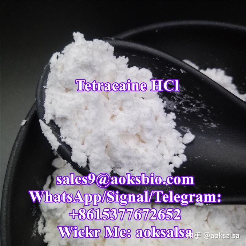 Tetracaine Hydrochloride Powder Manufacturer Supplier in Chennai India