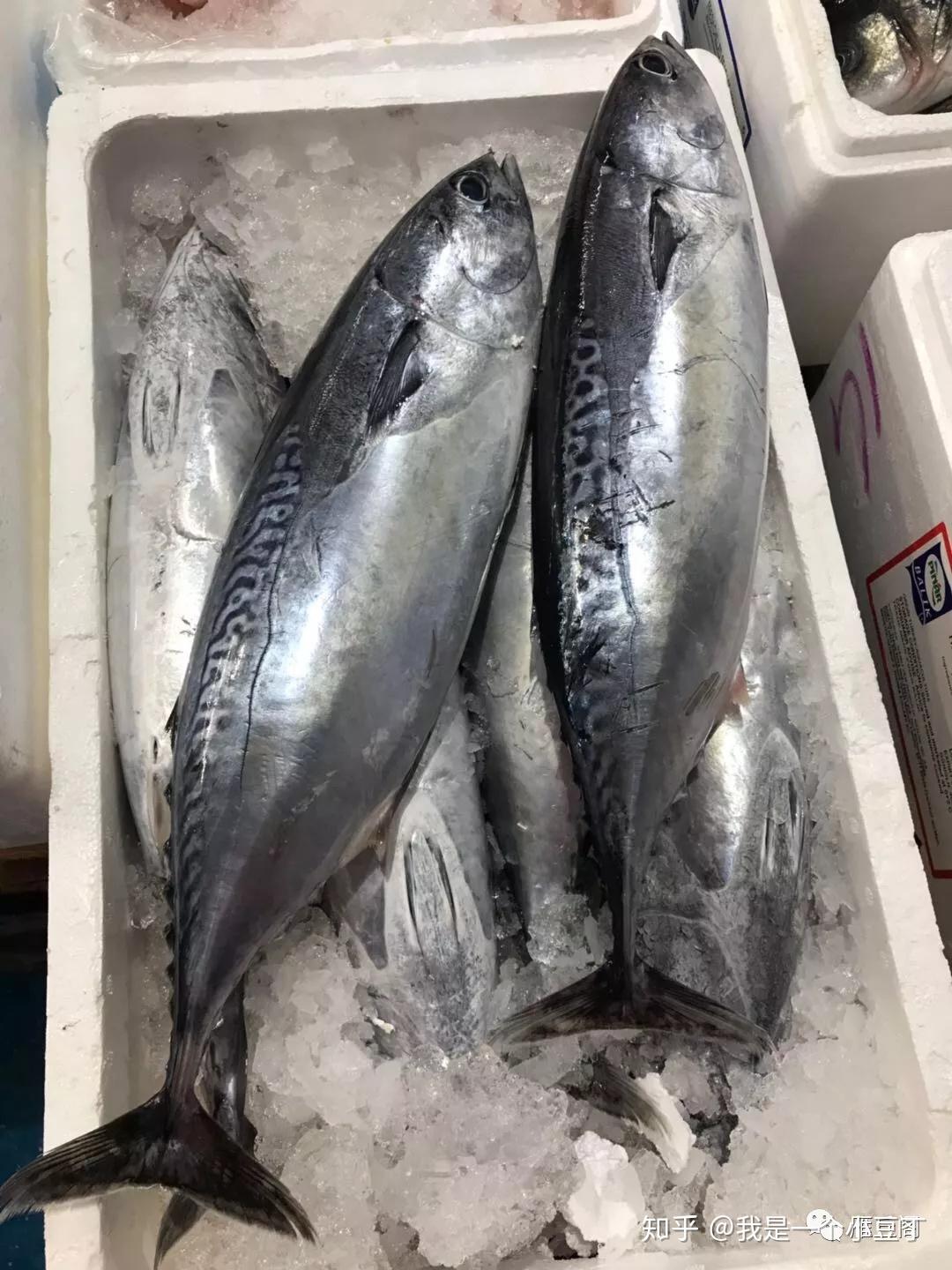 我所见过的菜市场 之曼彻斯特 - 知乎