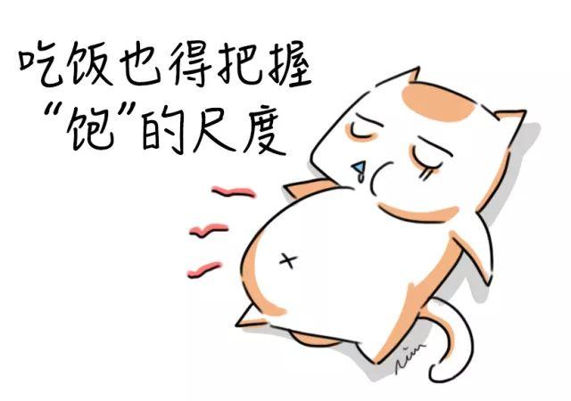 吃饱了也能撑出病多么痛的领悟