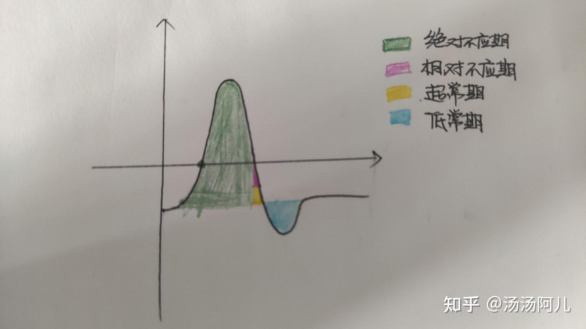 超常期指负后电位后半段,此时膜仍处于去极化状态,而钠离子通道已大