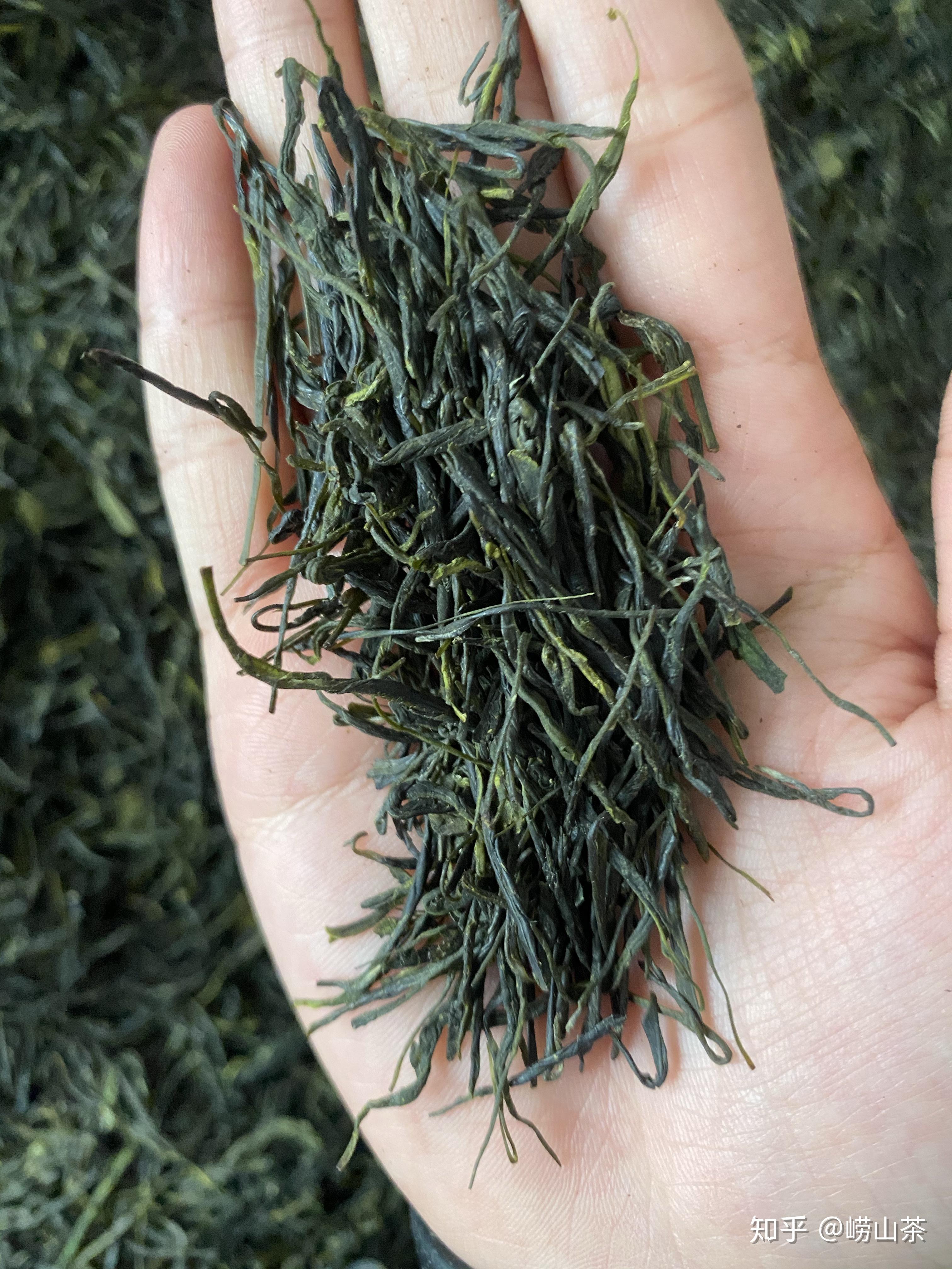 崂山茶青岛特青岛特产