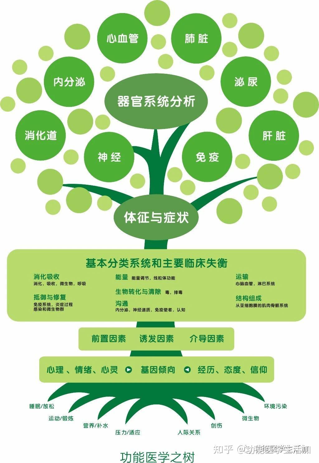 如何应用功能医学思维模式做健康管理? - 知乎