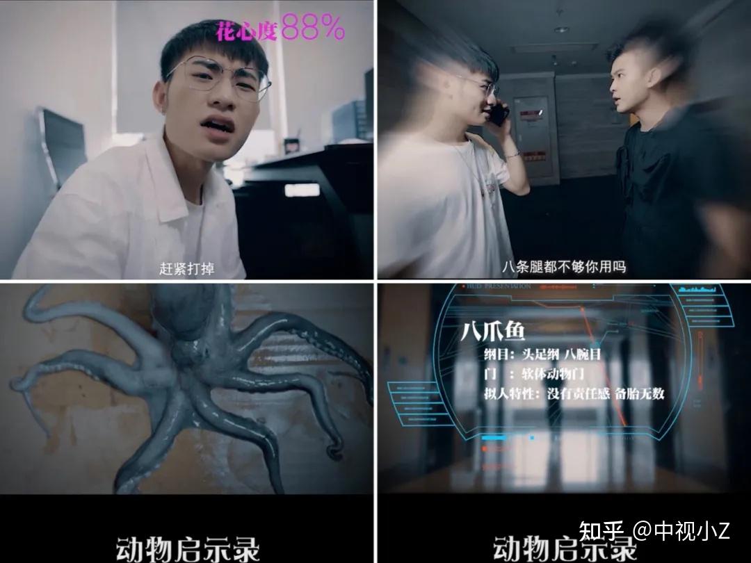 代表账号:@都市奇妙物语,@动物启示录【挖掘人性】向来是抖音剧情类