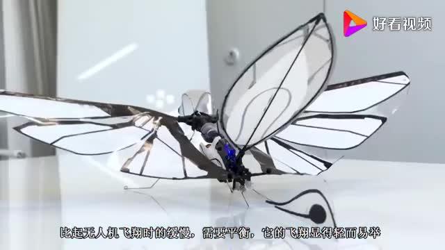 有哪些造型奇特的飞行器？ - 知乎