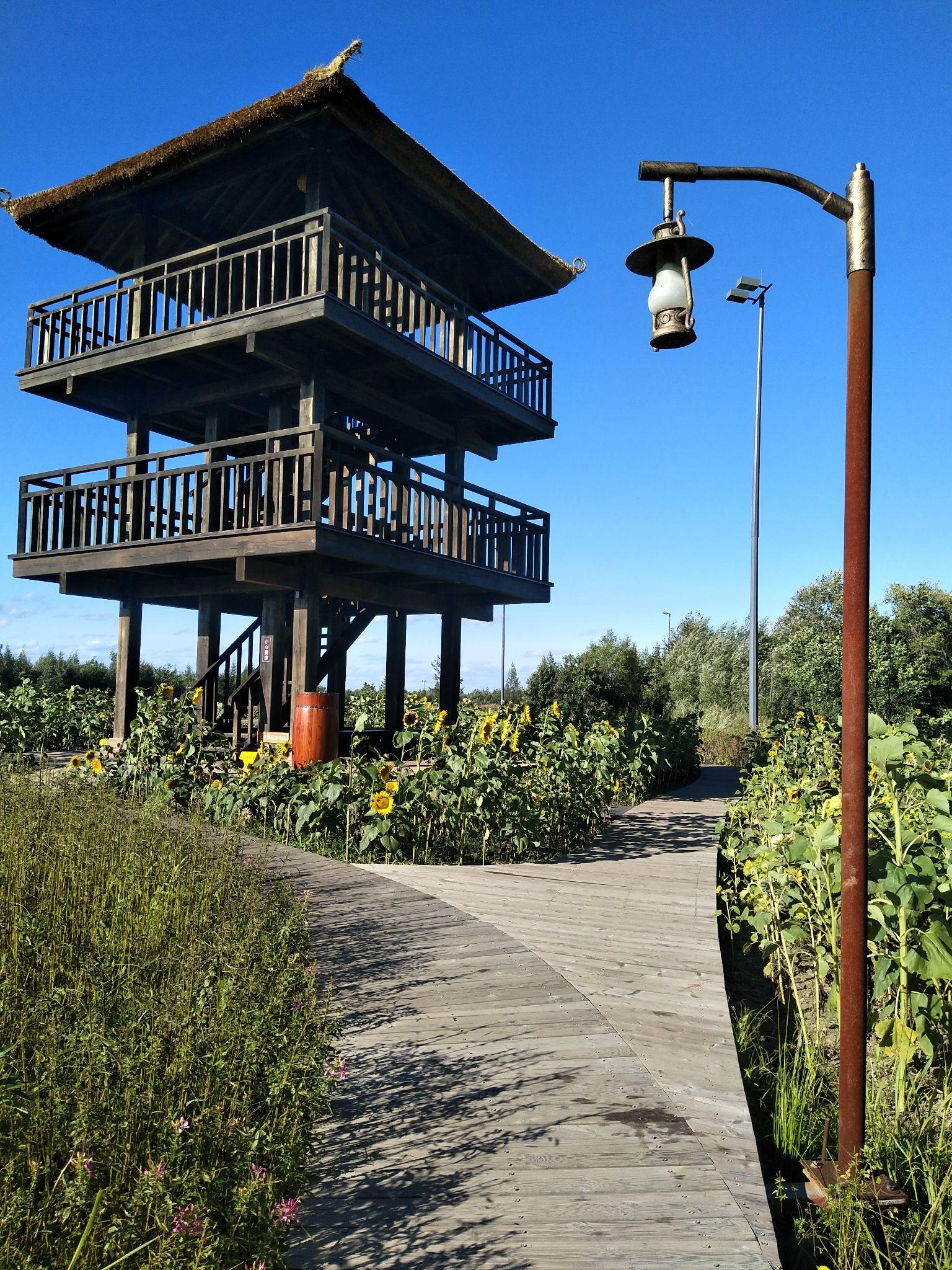 东北延边长白山天池延吉图们六天自助游详细旅游美食攻略游记