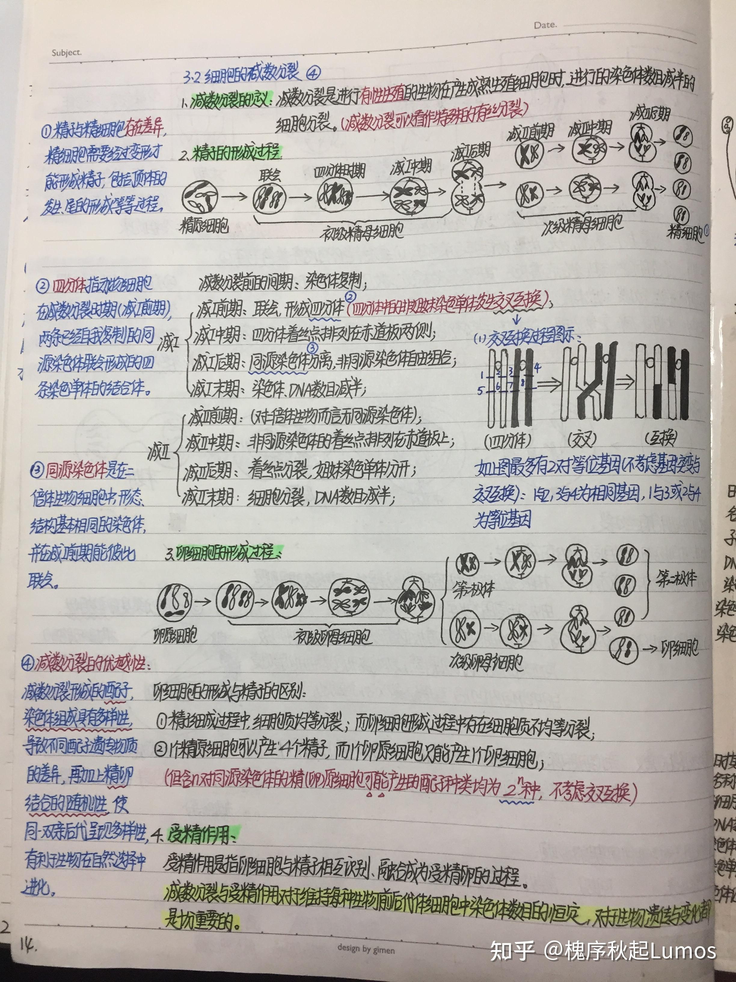 高中生物笔记1 分子与细胞(手写笔记)